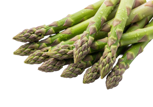 Plump vibrant green asparagus spears with purple tips and water droplets, naturally arranged against a transparent background with soft studio lighting, concept of healthy cuisine