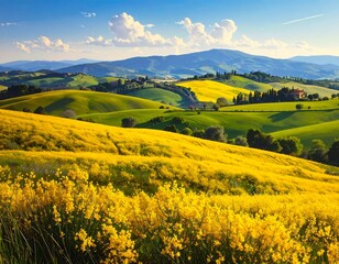 Sun-Kissed Tuscan Hills: Rolling Landscapes and Vibrant Floral Tapestry