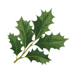 Sprig of Holly Leaves, Botanical Illustration, Vintage Style