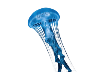 A magnificent vibrant blue luminescent jellyfish with glowing long wispy tentacles drifts in deep dark water, ultra-macro, shallow depth of field, cinematic bokeh, deep sea wonder