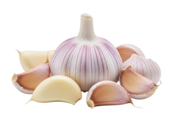 close-up macro shot of a fresh garlic bulb with purple stripes and papery stem, alongside peeled and unpeeled cloves on a transparent background with soft bokeh, concept of fresh culinary