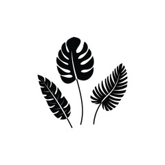 Leaf silhouette vector, leaf and leaves silhouette, plant, nature