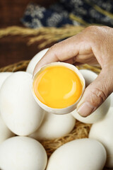 Fresh Free Range Goose Eggs with Golden Yolk in Farmers Market Basket Tray