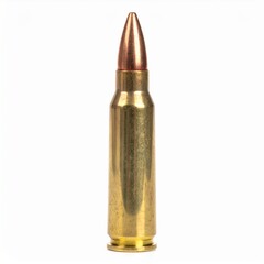 Bullet Cartridge Isolated on White Background