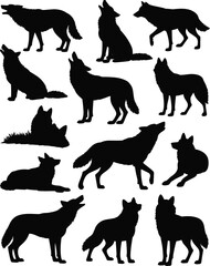 Silhouettes of wolves in different poses, howling, sitting, standing, running, lying down, isolated on white background, wild animals, nature, predator