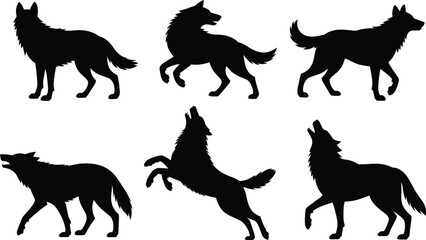 Silhouettes of wolves in various poses, wild animal shapes, nature wildlife icons, black wolf outlines, forest predator illustrations