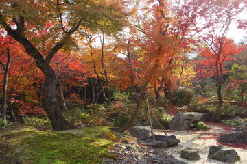 Naklejka premium Japanese Garden in Autumn Colors