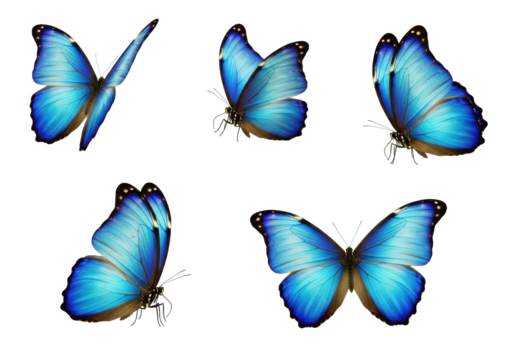 Five vibrant iridescent blue Morpho butterflies, intricate patterns, some mid-flight, others perched, sharp macro studio shot on transparent background with soft shadows, perfection nature and