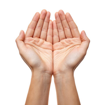 flat human open hands holding or presenting something human hands open hands holding hands flat hands open palms transparent background image