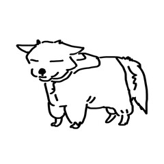 レインコートにテンションが下がった犬