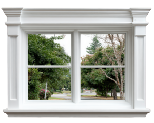 White window frame double pane classic molding clear glass outdoor view green trees residential street daylight modern house element peaceful atmosphere