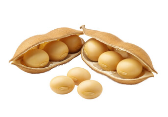 Opened dried fuzzy soybean pod revealing plump pale yellow soybeans, three loose on white background, sharp macro studio shot, concept of natural plant-based nutrition