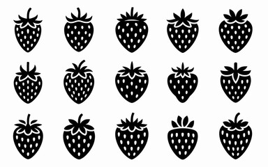 set of different kinds of corn