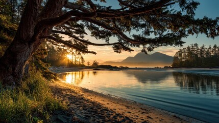 Tofino BC Sunrise: Stunning Tonquin Beach Scenery with Forest Trees and Mountain Views