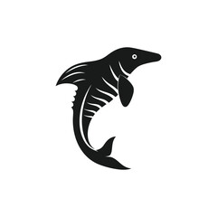 dolphin isolated on white background