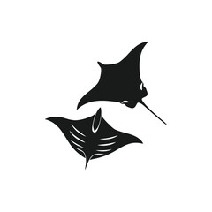 vector illustration of a witch flying