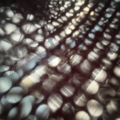 木漏れ日　光　繊維