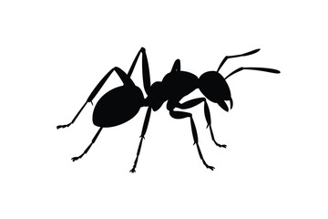 Black silhouette of an ant on a white background