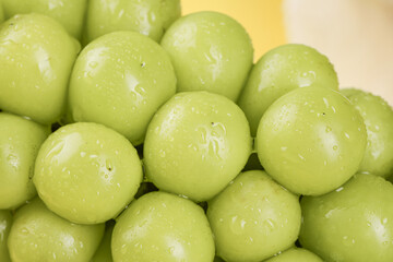 Fresh Green Grapes with Water Droplets - Guizhou Yunnan China Fruit Harvest