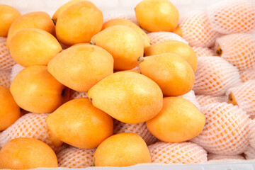 Fresh Yunnan Mountain Loquat Fruits with White Protective Netting on Bottom Display