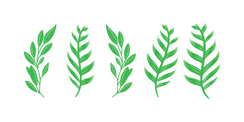 Collection of lush green forest fern, tropical palm, natural greenery, leaves, herbs and foliage elements illustration for botanical decoration, eco friendly digital design