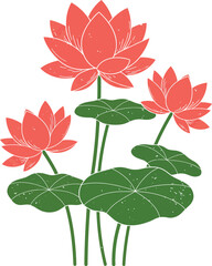 beautiful lotus flowers with green leaves on transparent background