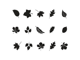 Black silhouette collection of oak, maple, and chestnut tree leaves in simple monochrome style, autumn foliage illustration for natural design, decorative templates and seasonal graphics
