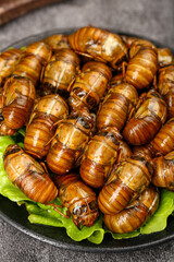 Cooked Silkworm Pupae Asian Cuisine Exotic Food Insects on Lettuce Traditional Delicacy