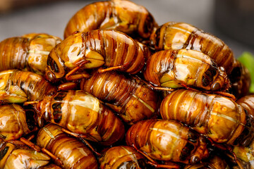 Deep Fried Silkworm Pupae Asian Street Food Delicacy Golden Brown Crispy Insects