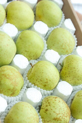 Fresh Jinshuai Apples from Shandong China Packed in Protective Foam for Market Distribution