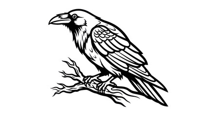 Naklejka premium Raven silhouette design