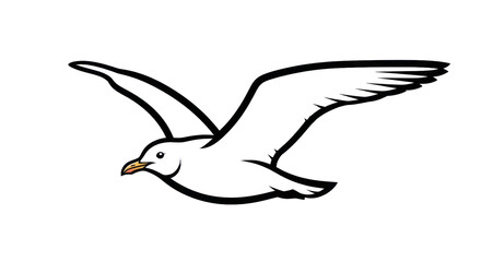 Seagull in flight outline
