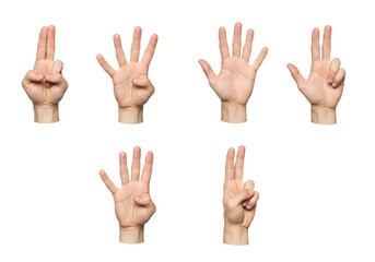 Obraz premium Six Human Hands Displaying Finger-Based Number Gestures on White Background