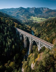 Arched Bridge Through Green Forested Valley