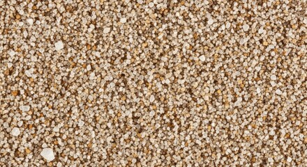 Full frame of sand grains, textured surface of the beach
