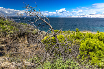 FKK naturist beach Ciganka on the island of Rab in Croatia, wild nature,