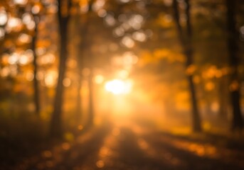 A blurred, abstract image of a sunlit forest path, dominated by warm golden and orange tones