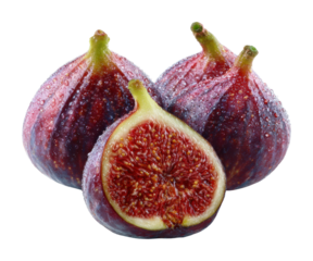 Harvesting fresh figs orchard food natural isolated on transparent background