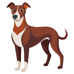 jack russell terrier dog