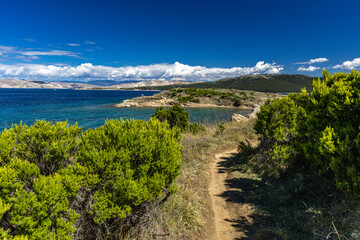 FKK naturist beach Ciganka on the island of Rab in Croatia, wild nature,