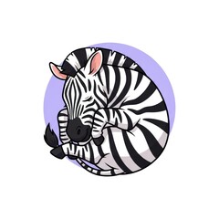 Cute sleeping zebra curled up in a ball with a purple background.