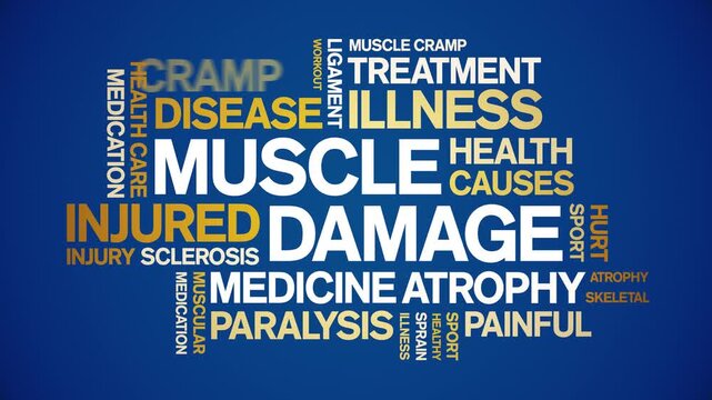 Muscle Damage animated word cloud-text design animation tag kinetic typography seamless loop.һ����: