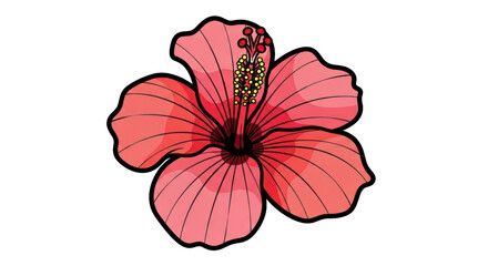 Hibiscus flower illustration vector art of tropical floral design