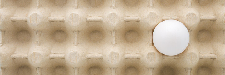 White egg in carton tray. Closeup. Wide banner. Top down view.