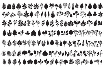 Fototapeta premium Collection of black botanical silhouettes on white background