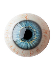 human eye in the form