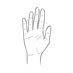 Obraz premium Female Hand Pose Line Drawing