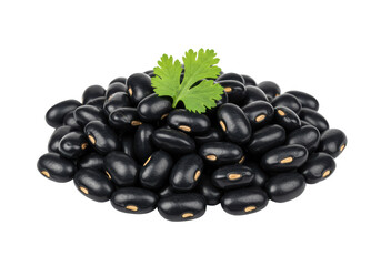 Isolated pile of black beans, fresh cilantro on top, a flavorful and nutritious food