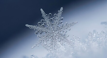 Intricate Hexagonal Snowflake Crystal Macro Detail with Soft Gradient Background