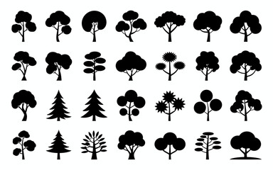 silhouettes of trees